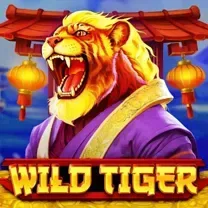 Casino Webcam SLOT JILI Login